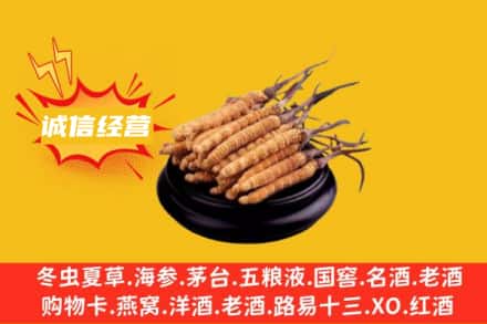 呼和浩特市武川县回收冬虫夏草